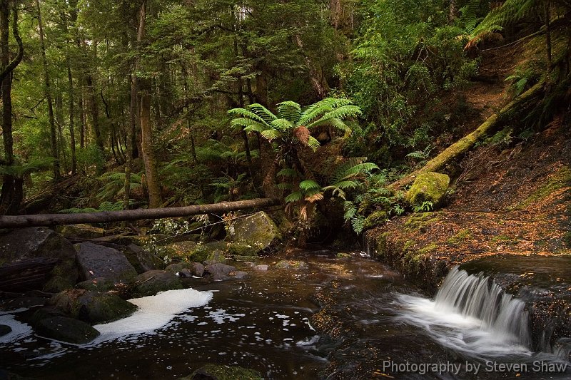 Horseshoe Falls 3 Horseshoe Falls, Mt Field NP, Tasmania